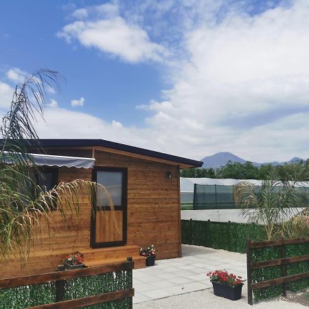 Vesuvius Chalet Relax Leilighet Boscoreale Eksteriør bilde