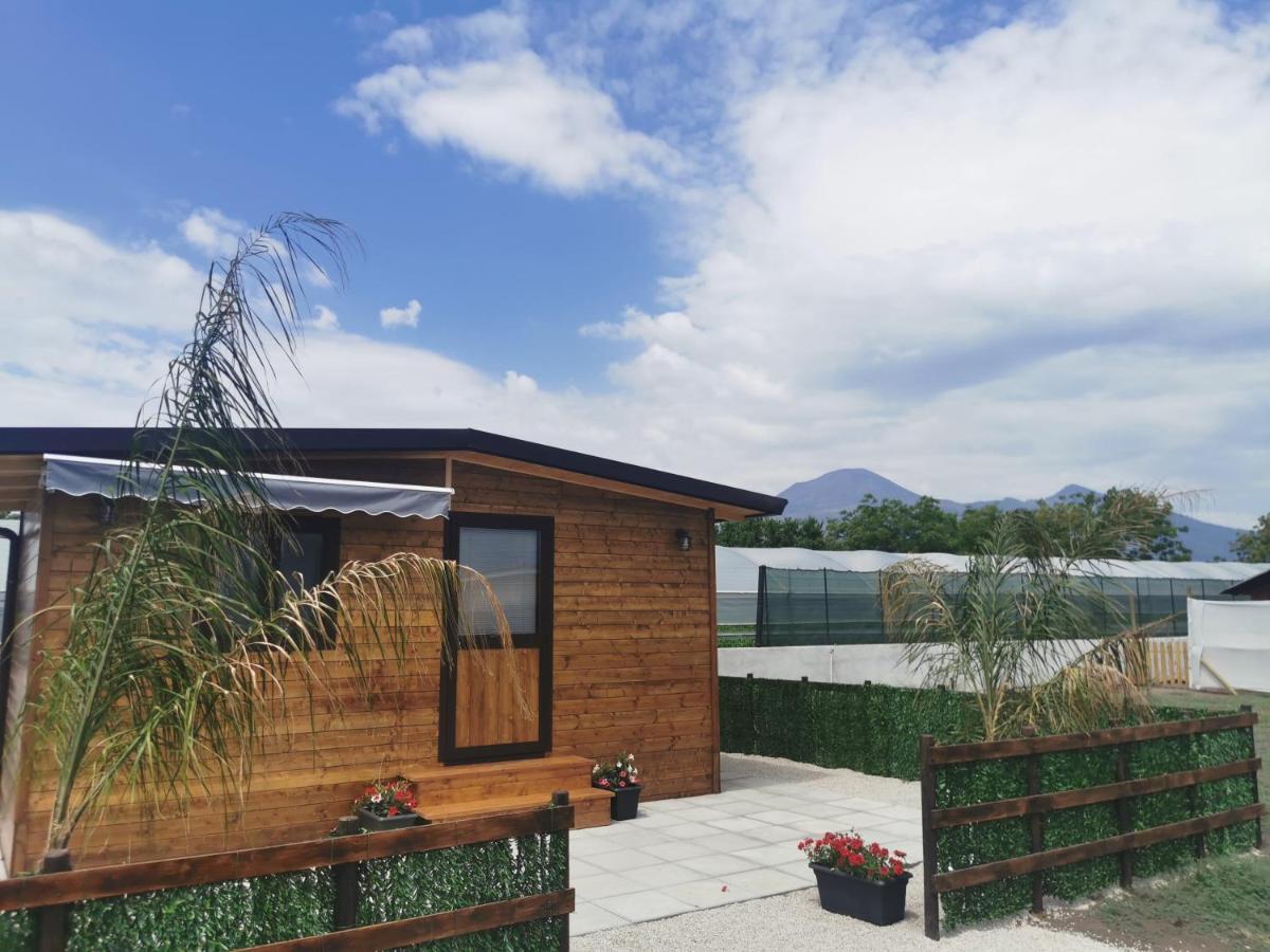Vesuvius Chalet Relax Leilighet Boscoreale Eksteriør bilde